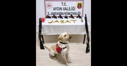 SÖKE’DE KAÇAK SİLAH OPERASYONU  