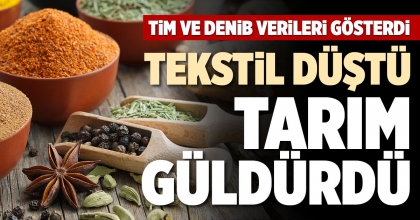 TEKSTİL DÜŞTÜ TARIM GÜLDÜRDÜ