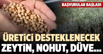ZEYTİN, NOHUT, DÜVE…