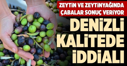 ZEYTİN VE ZEYTİNYAĞINDA ÇABALAR SONUÇ VERİYOR