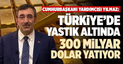 TÜRKİYE’DE YASTIK ALTINDA 300 MİLYAR DOLAR YATIYOR
