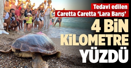 4 BİN KİLOMETRE YÜZDÜ