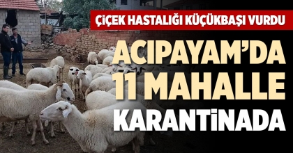 ACIPAYAM’DA 11 MAHALLE KARANTİNADA
