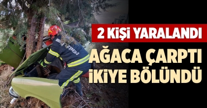 AĞACA ÇARPTI İKİYE BÖLÜNDÜ