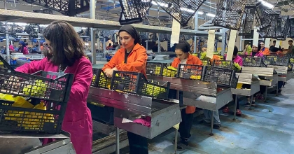 ALAŞEHİR GÜMRÜĞÜNDEN 230 BİN TON TARIMSAL GIDA İHRAÇ EDİLDİ