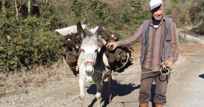 ARAÇ KULLANAMADIĞI İÇİN EŞEKLE YÜK ÇEKİYOR