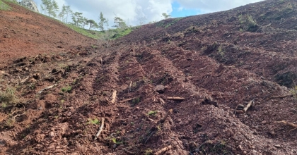İLK 'BAL ORMANI' İÇİN TÜM HAZIRLIKLAR TAMAMLANDI