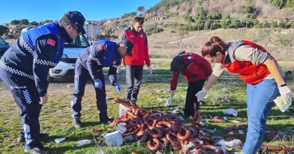 YOL KENARINA ATILAN 100 KİLO BOZUK SUCUK İMHA EDİLDİ