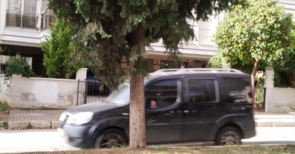 KÖKLERİNDEN AYRILAN AĞAÇ TEHLİKE OLUŞTURUYOR