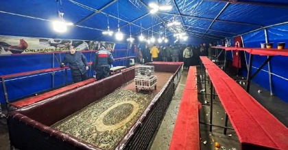 KÜMES HAYVANLARINI KORUMA DERNEĞI’NE HOROZ DÖVÜŞÜ OPERASYONU