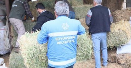ÇERÇİOĞLU'NDAN ÜRETİCİYE YEM VE YONCA DESTEĞİ