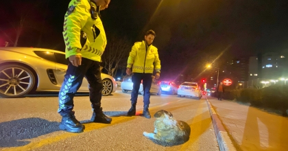 KÖPEK EZİLMESİN DİYE BAŞINDA NÖBET TUTTULAR