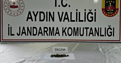 2 İLÇEDE UYUŞTURUYLA MÜCADELE