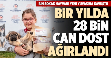 BİN SOKAK HAYVANI YENİ YUVASINA KAVUŞTU