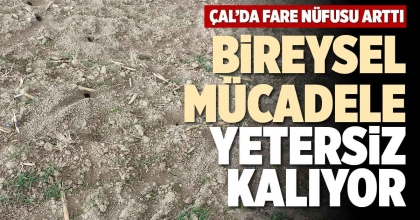 BİREYSEL MÜCADELE YETERSİZ KALIYOR