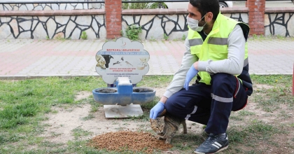 CAN DOSTLARA SICAK YUVA VE MAMA DESTEĞİ