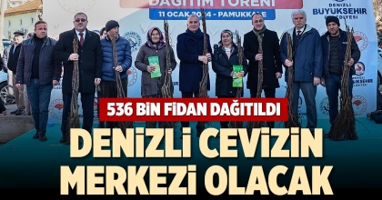 DENİZLİ CEVİZİN MERKEZİ OLACAK