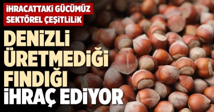 DENİZLİ ÜRETMEDİĞİ FINDIĞI İHRAÇ EDİYOR