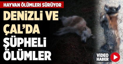 DENİZLİ VE ÇAL’DA ŞÜPHELİ ÖLÜMLER