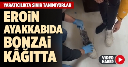 EROİN AYAKKABIDA BONZAİ KÂĞITTA