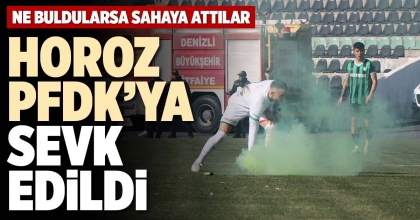 HOROZ PFDK’YA SEVK EDİLDİ