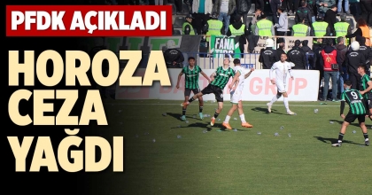 HOROZA CEZA YAĞDI