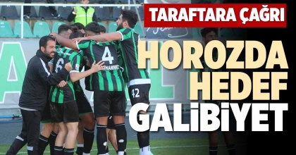 HOROZDA HEDEF GALİBİYET