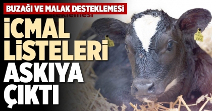 İCMAL LİSTELERİ ASKIYA ÇIKTI