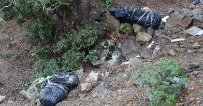 İZMİR’DE ÇÖP POŞETLERİ İÇERİSİNDE KÖPEK ÖLÜLERİ BULUNDU
