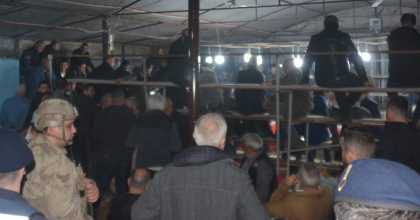 İZMİR’DE HOROZ DÖVÜŞÜ YAPTIRANLARA JANDARMADAN OPERASYON