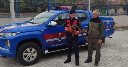 JANDARMANIN BULDUĞU YARALI ŞAHİN KORUMA ALTINA ALINDI