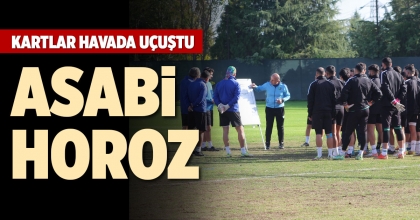 KARTLAR HAVADA UÇUŞTU