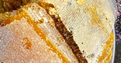 MANİSA'DA BAL REKOLTESİ GEÇEN YILA GÖRE DÜŞÜK KALDI  