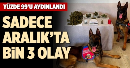 SADECE ARALIK’TA BİN 3 OLAY
