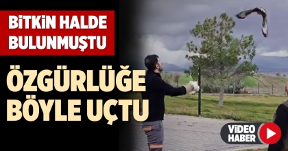 ÖZGÜRLÜĞE BÖYLE UÇTU