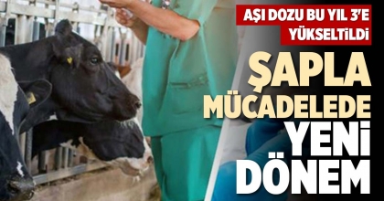 ŞAPLA MÜCADELEDE YENİ DÖNEM