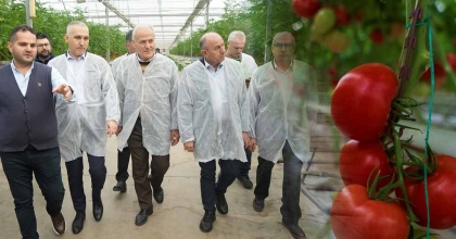 SERACILIĞIN MERKEZİ HOLLANDA’YA MANİSA SERALARINDAN DOMATES İHRACATI  