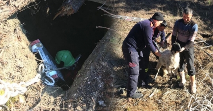 SU KUYUSUNA DÜŞEN KOYUNU İTFAİYE KURTARDI