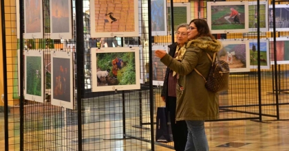 TARIM ORMAN VE İNSAN FOTOĞRAFLARDA BULUŞTU 