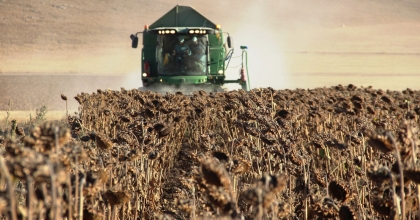 TARIMSAL İŞLETMELERE DANIŞMANLIK DESTEĞİ