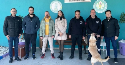 TRÜF MANTARINI EĞİTİMLİ KÖPEKLER BULACAK 