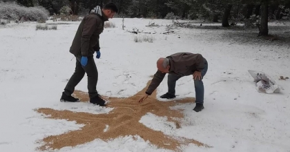 YABAN HAYATI UNUTULMADI  