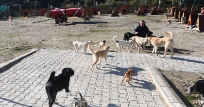 YENİ AÇILMIŞTI, RAĞBET GÖRDÜ