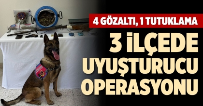 3 İLÇEDE UYUŞTURUCU OPERASYONU