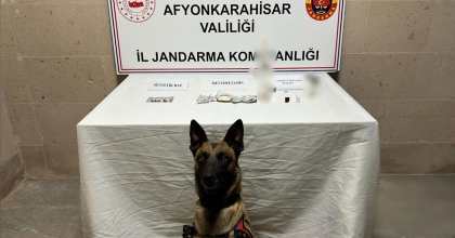 AFYONKARAHİSAR'DA SUÇ MAKİNASI YAKALANDI