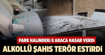 ALKOLLÜ ŞAHIS TERÖR ESTİRDİ