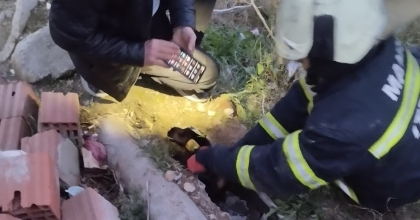 DİREĞİN İÇİNE SIKIŞAN KÖPEK KURTARILDI