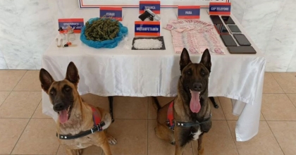 AYDIN’DA 48 ZEHİR TACİRİ YAKALANDI