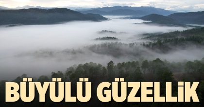 BÜYÜLÜ GÜZELLİK