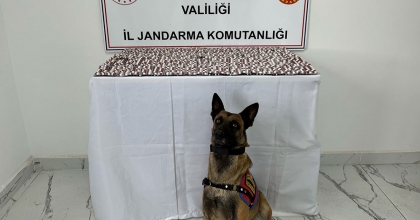 CEZAEVİNDEN İZİNLİ ÇIKTI, UYUŞTURUCU MADDE KAÇIRIRKEN YAKALANDI